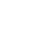 Lubrizol Estane